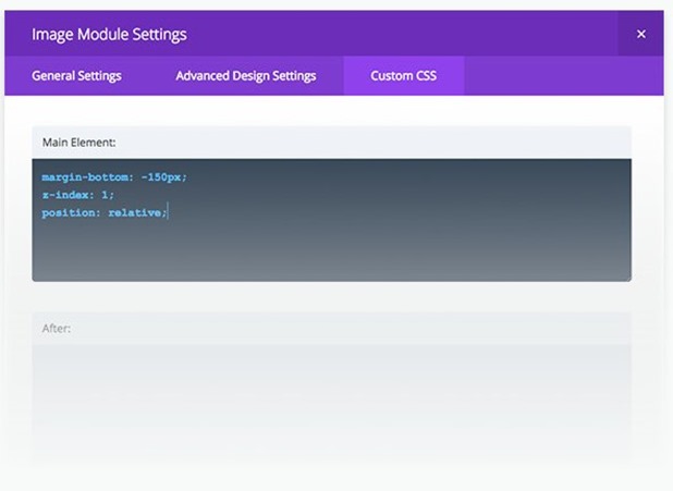 Divi Custom CSS option