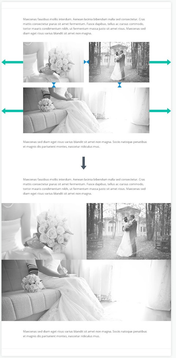 Divi Fullwidth Row