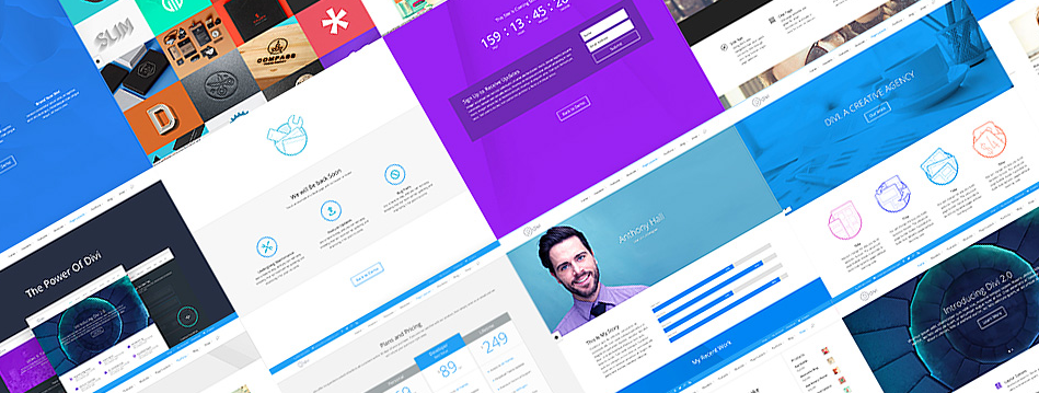 Divi Builder Theme