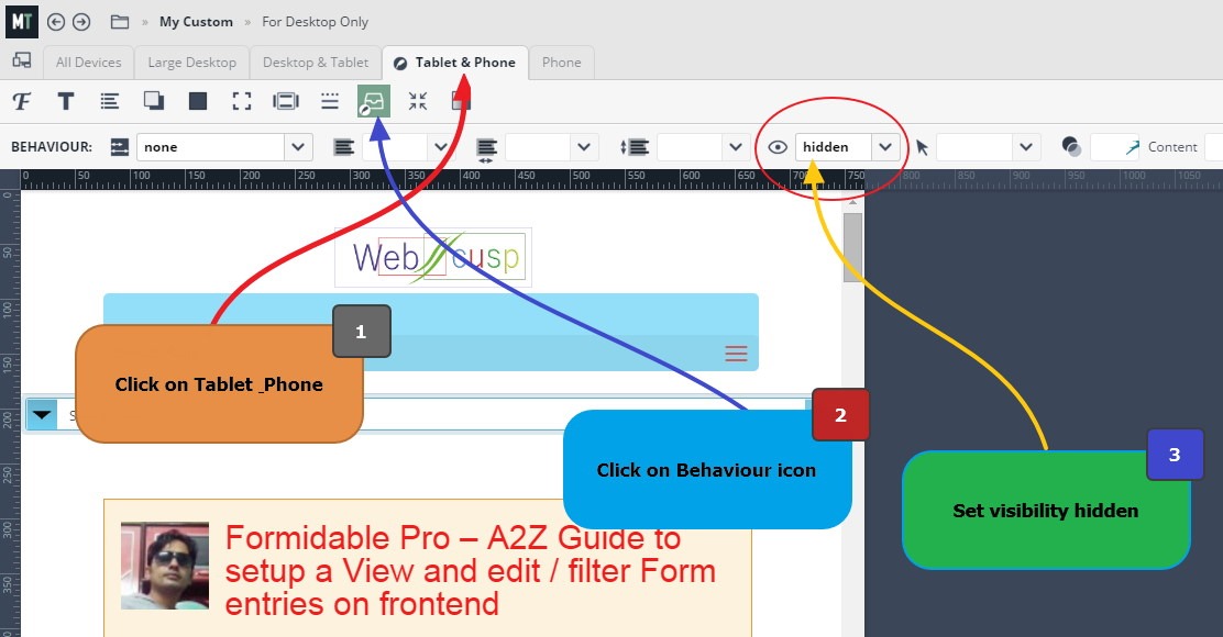 Microthemer Show Hide Elements3
