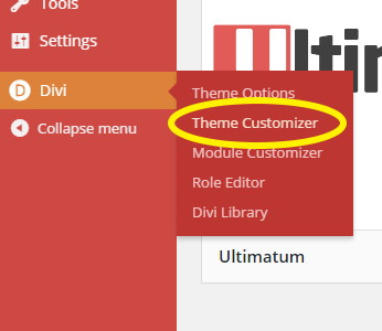 Essential Things to Customize After Installing Divi