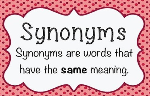 Use Synonyms in Domain