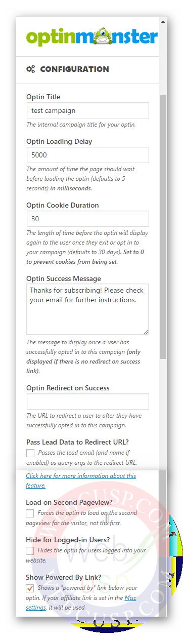 Optin Monster - Configuration Options